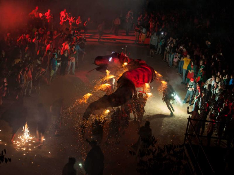 Espectacle del serpent